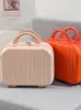 Sacs de rangement bagages portables 14 pouces petit étui à cosmétiques couleur bonbon valise fraîche sac pour femme solide unisexe Polyester