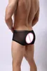 Unterhose jetzt zum Verkauf Bonbonfarbe Sexy Herrenunterwäsche Herren Weiche Atmungsaktive Mesh Boxershorts Herren Transparent