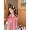 소녀 드레스 봄 가을 아이 유아 유아 자수 공주 핑크 투투 파티 옷 따뜻한 반짝이는 퍼프 슬리브 아이