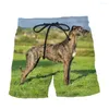 Pantalones cortos para hombre Moda Animal Perro Harajuku Casual Diversión 3D Impreso Playa Unisex Deportes