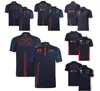 F1 Team Racing Polo Jersey Polyester Quick-drying Car Lapel T-shirt Same Style Customization