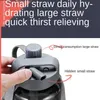 Water Bottle Large Capacity 1l2l 3l Super Large Straw Cup Portable Dinkware Plastic Space Cup Drink Bottle Outdoor Sports Kettle