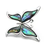 Brooches Pins Metal Natural Shell Butterfly Alloy Insect Animal Women Men Suits Dress Banquet Brooch Fashion Hat Scarf PinsPins Kirk22