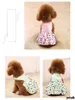 ملابس الملابس الكلاب الصيفية للكلاب الصغيرة النجمة الأميرة تشيهواهوا تسخير اللباس Cat ملابس الحيوانات الأليفة XXS -XL