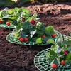 Andra trädgårdsverktyg 5-20 Pack Strawberry Supports Att hålla växtfrukt stativ Vegetabiliska växande rack Trädgårdsverktyg för att skydda vinstockar Undvik mark 230506