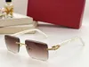 New Spring/Summer Classic White Buffalo Horn Diamond Style Glasses Sunglasses Brands Design UV400 Eyewear Metal Gold Eyeglasses Women Men CT00521