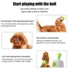 おもちゃ犬ボール自動テニスランチャーペットドッグチャセトイミニテニススローピンボールマシン楽しいインタラクティブドロップシッピング