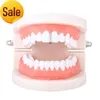 Halloween Grillz Zähne Schmuck echtes Gold Farbe Hip-Hop-Messing und bling Zirkon einzelne Zahnspangen mit Etui verpackt