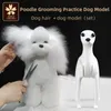 Toys kaniş evcil hayvan simülasyonu saç güzellik sahte köpek model uygulama köpek standart kaniş bütün vücut sahte saç