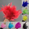 Fleurs décoratives 2023 manchettes en fourrure d'autruche naturelle manchette manchette en plumes Bracelet de haute qualité accessoires de cheveux