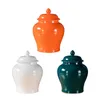 Storage Bottles Porcelain Ginger Jars Can Indoor Plants Holder Table Centerpiece Temple Jar