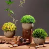 Dekorative Blumenkränze Simulation Eingemachte Frische Heimdekoration Kunststoff Ländliche Graskugel Gefälschte Bonsai Für Wohnzimmer Hochzeitsfeier