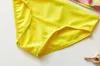 3-10 Year Bikini Set Tropical Lemon Frill Two Pieces Children's Girls' Swimwear P230602