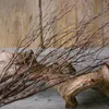 Decorative Flowers 1 Bundle Natural Birch Branch Twigs Spray Plant Decoration For Centerpieces Or Floral Arrangements Crafts S8H1