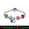 S925 Argent Couleur Jardin Série Charmes Bracelets Fit Original Pandora Perles DIY Pour Femmes designer Bracelet Ensemble De Luxe Bijoux Cadeau