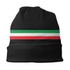 Berets Streetwear Winter Warm Men Women Knitted Hats Unisex Adult Italy Flag Skullies Beanies Caps Italian Patriotic Bonnet