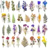 Opakowanie prezentowe 32PCS DUŻY rozmiar Vintage Naturalne przezroczyste wodoodporne naklejki złote folia kwiaty rośliny dekoracyjne do majsterkowiczów