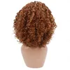 Synthetic Wigs Rebcass Short Curly For Black Women Cosplay Hair Africa And America Heat Resistant Fiber