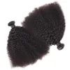 El cabello humano virgen brasileño Afro Kinky Curly Sin procesar Remy Hair teje tramas dobles 100 g / paquete 1 paquete / lote se puede teñir blanquear