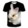 Men's T Shirts 2023 Summer 3D Novely Animal Funny Shirt Lovely Series Printed Tshirt Men Women Harajuku Style T-Shirt Tops