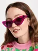 New Spring/Summer Sunglasses for women Fashion European and American style Sun glasses UV400 Protection Brand Design cat-eye frame sunglasses