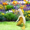 Nowy banan kaczka kreatywna dekoracje ogrodowe rzeźby zabytkowe derek ogrodniczy