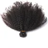 El cabello humano virgen brasileño Afro Kinky Curly Sin procesar Remy Hair teje tramas dobles 100 g / paquete 1 paquete / lote se puede teñir blanquear