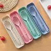 Makaron Wheat Straw Portable Tableware Box Three-piece Set Children's Outdoor Travel Picnic Spoon Fork Chopsticks