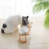 Feeding New Cat Dog Bowls Stand Ceramic Bowls Cats Dogs Drinking Water Food Bowl Standing Ceramic Bowls Bamboo Elevated Small Pet Feeder