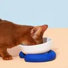 Bol d'alimentation en céramique pour chat avec tapis de Gel de silice, bols d'alimentation en eau antidérapants pour animaux de compagnie, petits chiens, fournitures de boisson, mangeoires pour chiots et chats