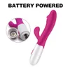 Vibrators vibrator voor vrouwen clitoris stimulator roze siliconen afstandsbediening exotische goederen volwassenen lesbische draagbare dildo sex speelgoed vrouw 230509