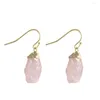 Dangle Earrings Natural Crystal For Women Small Rock Quartz Stone Pendulum Black Tourmalines Purple Pink Drop Earring