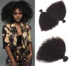 El cabello humano virgen brasileño Afro Kinky Curly Sin procesar Remy Hair teje tramas dobles 100 g / paquete 1 paquete / lote se puede teñir blanquear