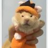 Supplies Hamster Winter Clothes Small Pets Accessories Chipmunk Dwarf Rat Small Animal Hat Cute Hamster Clothes Hamster Supplies