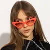 New Spring/Summer Sunglasses for women Fashion European and American style Sun glasses UV400 Protection Brand Design cat-eye frame sunglasses