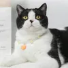 Colliers de chat laisse collier pour animaux de compagnie collier d'amour attrayant créatif