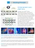 Sağlıklı Gadgets EMS Elektromanyetik Ağrı Terapisi Cihazı Klinik için fiziksel vücut tedavi cihazı Klinik Kullanım Klinik Ekipmanı Halka saplı Lazer Sistemleri Fiyat