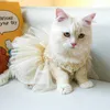 Trajes de gato cachorro roupas brilhantes de bowknot para cães vestidos doces femininos de primavera puppies pequenas saia de fio de renda b03e