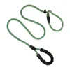 Hondenkragen Pet Professional Training P Rope Chain Explosion-Proof Small en middelgrote honden