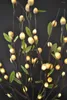 Dekorative Blumen Pussy Willow Branch Light 40 'mit 60 Led Plus Green Leaf Dekoration 3 V Adapter (Transformator) Spring