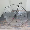 Transparent Umbrella Internet Celebrity Little Fairy Same Style Letter Sign Long Handle Umbrella Socialite Good-looking Photo Umbrella Wholesale