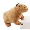 Simulação de 18cm Capybara Plush Toy Toy