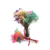 Dekoratif çiçek çelenk mini doğal kurutulmuş ebedi çiçek buket dekorasyon pografi ev Noel düğün dekorasyonDecorat
