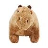 Simulação de 18cm Capybara Plush Toy Toy