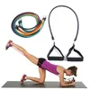 Resistance Bands Tube Set With Attached Handles Door Anchor Carrying Case And Exercise Guide Training