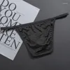 Mutande da uomo Slip semitrasparenti sexy Boxer Intimo traspirante senza cuciture T-back Mutandine da ragazzo a righe ultrasottili