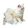 Trajes de gato cachorro roupas brilhantes de bowknot para cães vestidos doces femininos de primavera puppies pequenas saia de fio de renda b03e