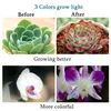 تنمو الضوء للنباتات الداخلية المظلة الصغيرة 48 LED مع مصابيح نباتات الطيف الكاملة الموقت للحدائق المنزلية ، قابلة للضايق ، العصارة ، الهدية