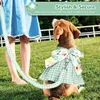 Schattige geruite hondenjurk harnas riem set voor kleine middelgrote hondenkatten meisje groene zomer huisdierkleding bowknot puppy prinses jurken vakantiefeest kostuum outfits