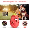 Toys Benepaw Indestructible Pitaya Dog Chew Toys For Small Medium Large Breed Safe Teething Interactive Puppy Treat Toys Pet Play